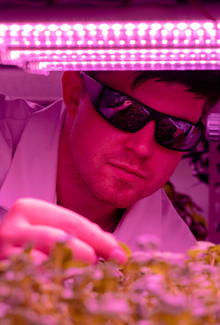 A scientist examines plants in an indoor farm using LED technology for sustainable agriculture research.