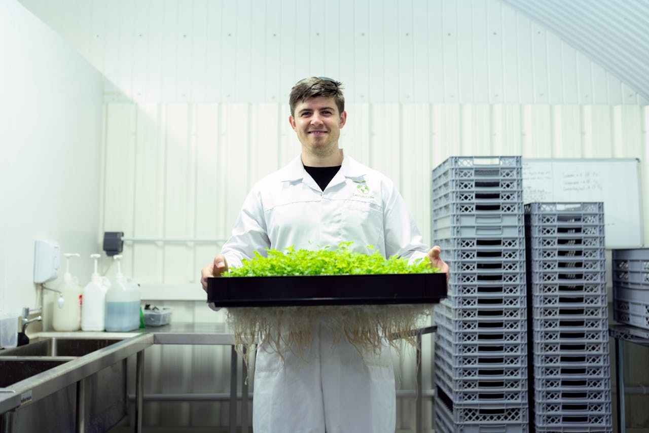 Crafting Captivating Headlines: Your awesome post title goes here Scientist in a laboratory holding a tray of hydroponic plants, showcasing sustainable agriculture.