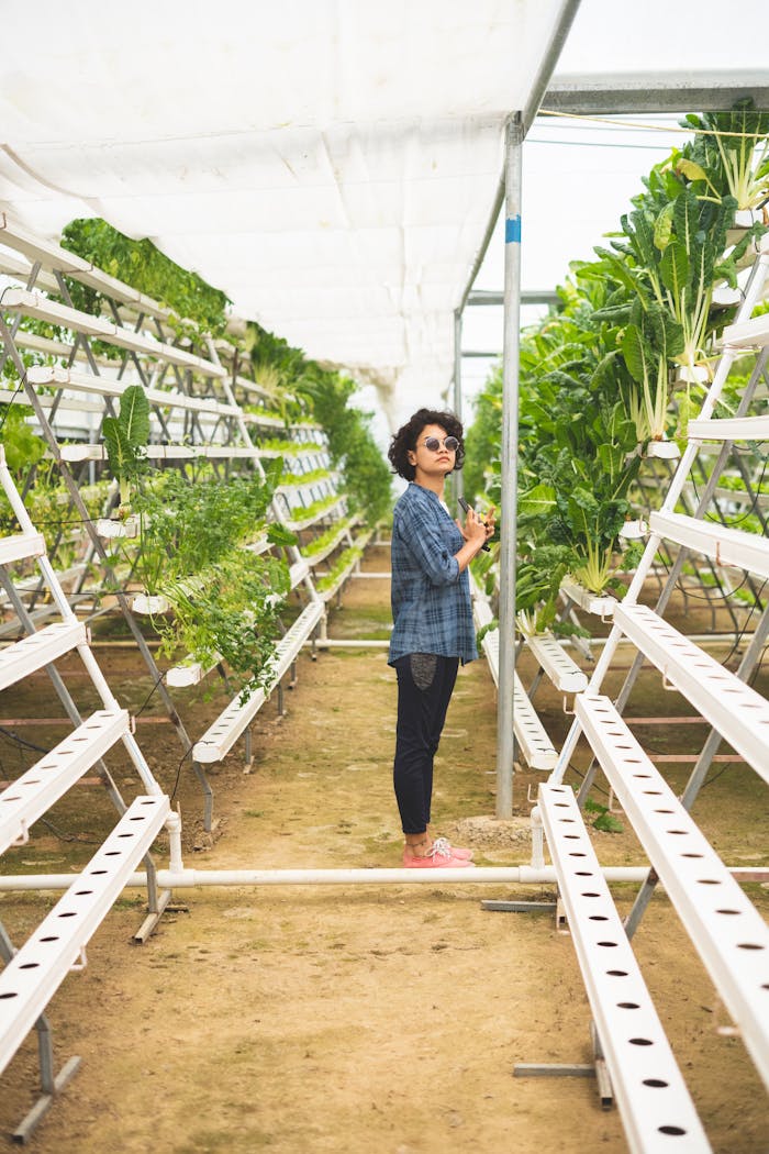 A woman wearing sunglasses stands in a plant-filled greenhouse, showcasing modern agriculture.
